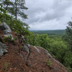 thumbnail for Jackhammer Opens, Completing the Innovate Alabama Trail Project at Oak Mountain State Park